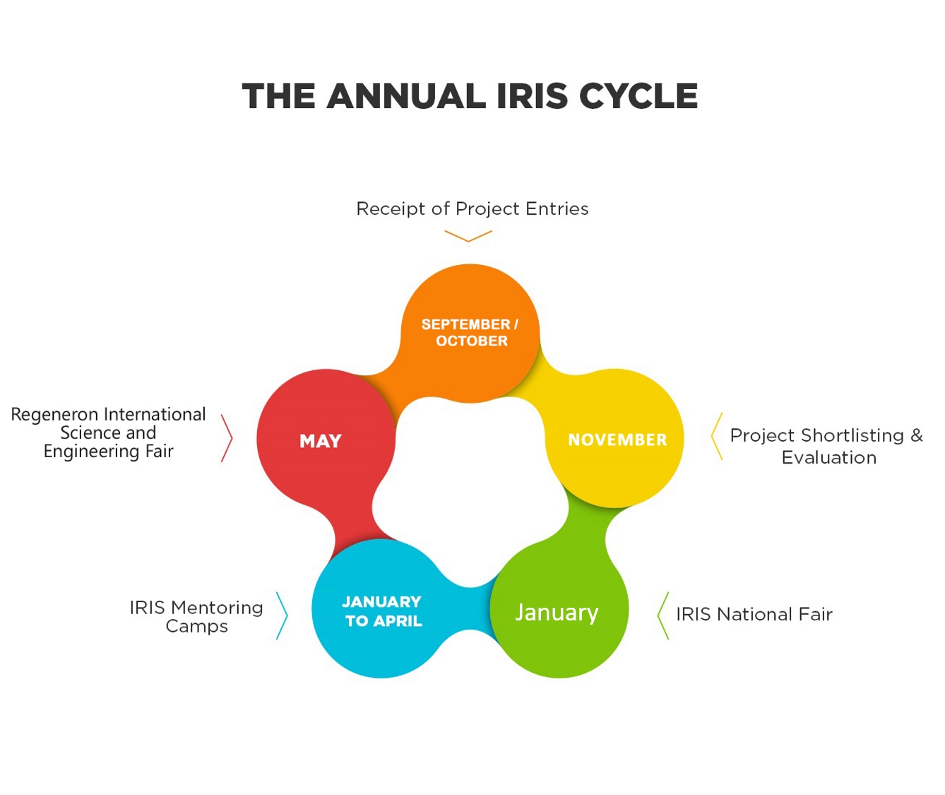 IRIS Annual Cycle